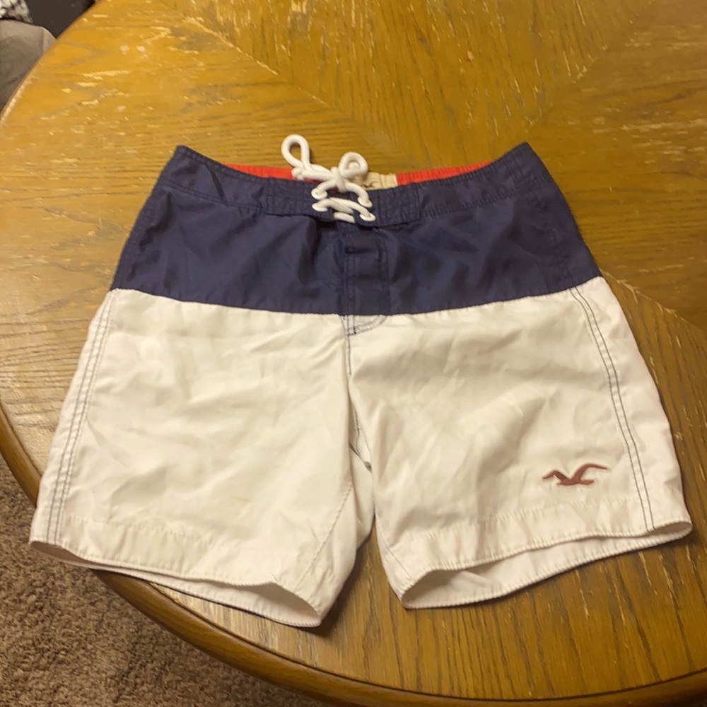 Men’s Netted Hollister Swim Trunks Size M